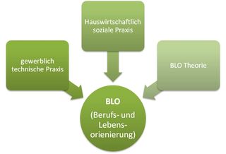 Bereich der Berufs- und Lebensorientierung